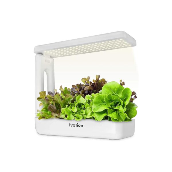 Indoor Hydroponic Garden Kit with LED Lighting for Growing Herbs Greens Plants and Fruit