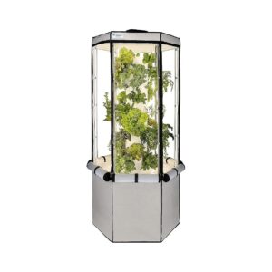 Indoor Hydroponic Growing System 27-Lettuce-Vegetable-Herb-Fruiting-Indoor-Gardening