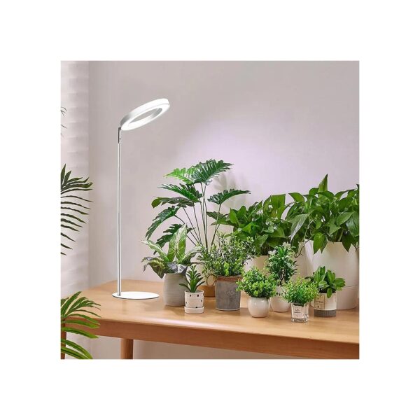 Indoor Plant Grow Light with Adjustable Height and Timer for Small Spaces