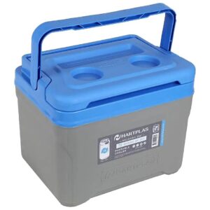 Insulated Portable Cooler with 18 Can Capacity for Beach and Park