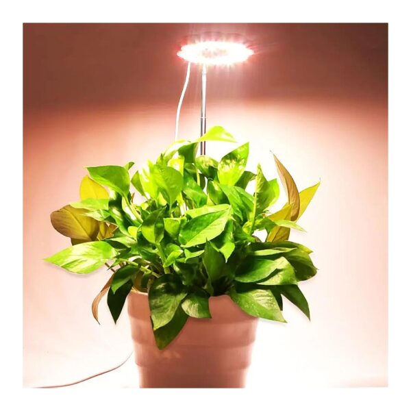 Intelligent LED Grow Light for Small Plants with Dimmable Brightness