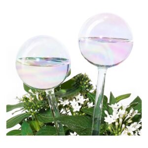 Iridescent Rainbow Gradient Glass Plant Watering Globes with Automatic Watering System