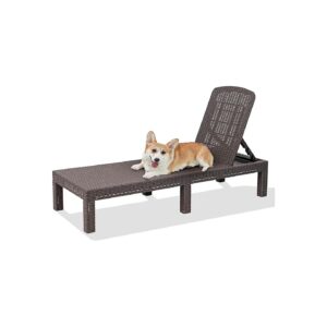 Joy of Outdoor Living with Adjustable Mocha Chaise Lounge