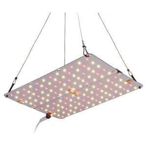 LED Grow Light for Indoor and Outdoor Gardening with Wide Spectrum and Red Output