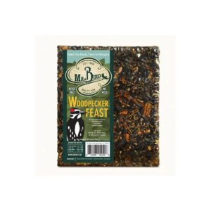 Large 1 lb 12 oz Seed Block for Woodpeckers with Fresh Fruits Nuts and Seeds