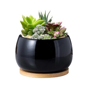 Large Black Porcelain Succulent Cactus Plant Pot with Drainage Hole