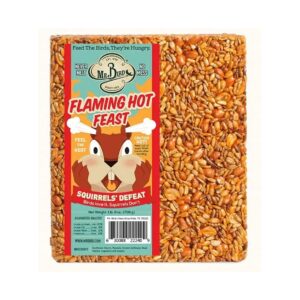 Large Block Flaming Hot Feast Seed Cake for Wild Birds