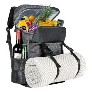 Large Capacity Insulated Picnic Backpack with Cooler Compartment for 2-4 People