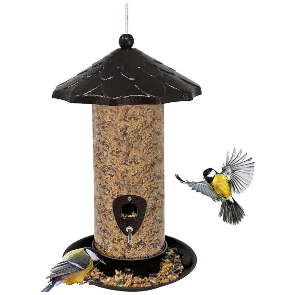 Large Capacity Metal Bird Feeder for Outdoor Hanging and Entertainment