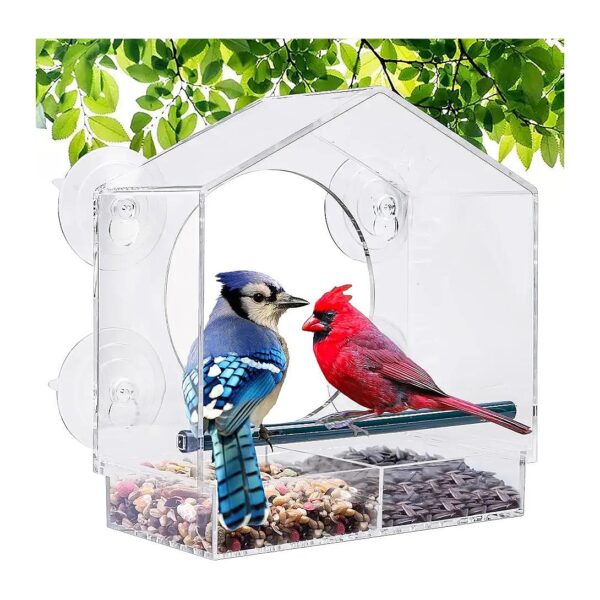 Large Glass Bird Feeder with Drain Holes and Removable Seed Tray for Fresh Seed Storage