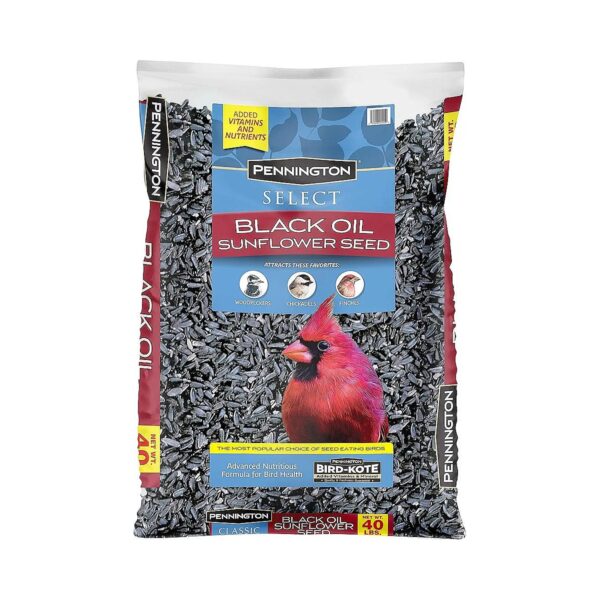 Large Quantity Wild Bird Seed Black Oil Sunflower Feed 40 Pounds