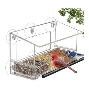 Large Window Bird Feeder with Strong Suction Cups and Detachable Seed Tray