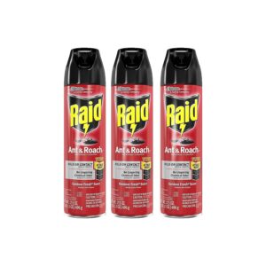 Lasting Ant and Roach Killer Spray for Outdoor Use