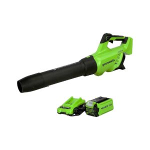 Leaf Blower with Integrated USB Ports for Charging Devices