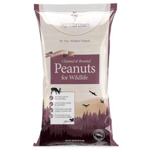 Lightbrown Roasted Cleaned Premium Peanuts for All Birds and Wildlife Species