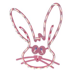 Lighted Bunny Face with Suction Cup, 18" High