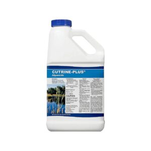 Long-Lasting Algae Control Solution for Lakes, Ponds, and More, 1-Gallon Size