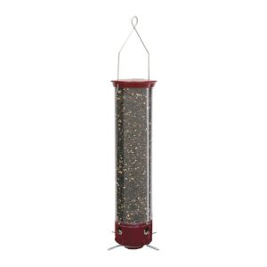 Long-Lasting Squirrel Proof Birdseed Feeder for Year-Round Use