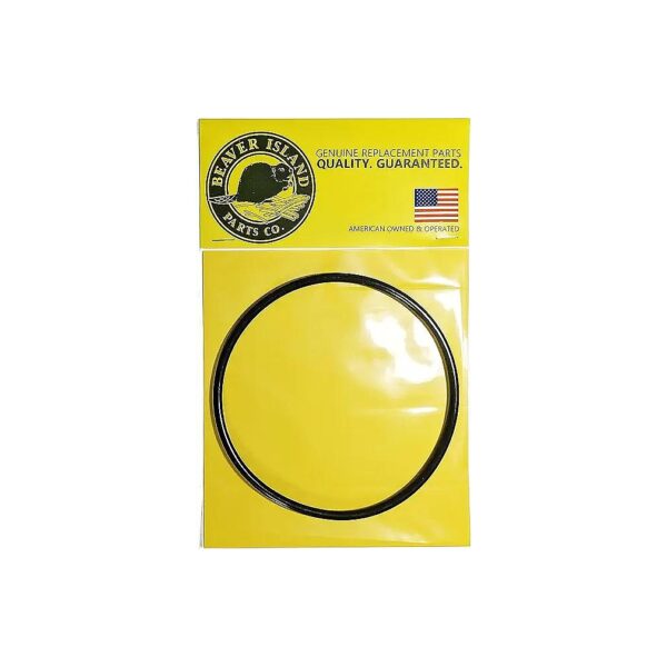 Made Replacement O-Ring Part Number P6119 and P6119ASS16 for Filter Pump Gaskets