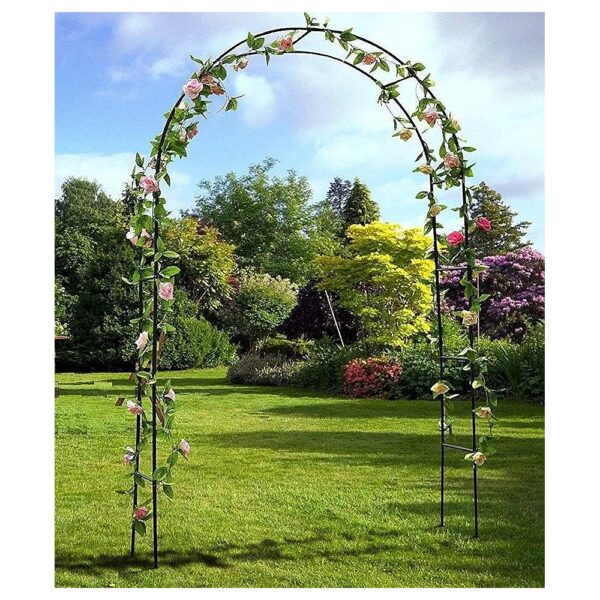 Metal Arbor Trellis for Support and Decoration of Climbing Plants