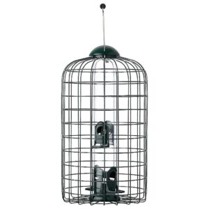 Metal Cage Bird Feeder with Four Ports, Keeps Squirrels Out, 5 lbs Seed Capacity