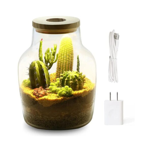 Modern Glass Propagation Station with Breathable Wood Lid and LED Light for Indoor Plants