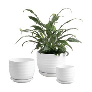 Modern White Ceramic Pot Planters with Ribbed Exterior and Water Drainage Holes Set of 3