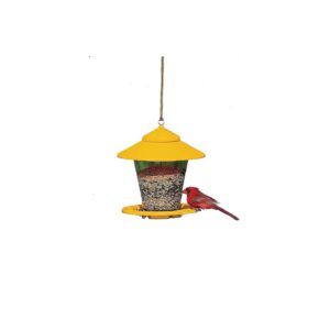 Multi-Colored Swivel Bird Feeder for Woodpeckers with Four Pound Seed Capacity