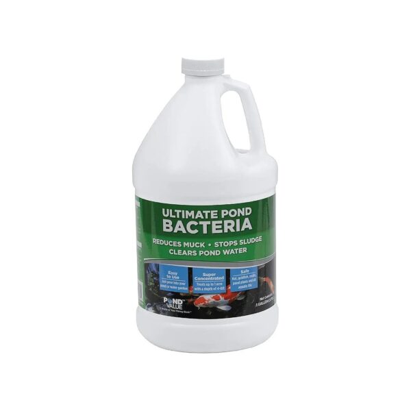 Natural Pond Bacteria Treatment for Clear Water and Odor Control