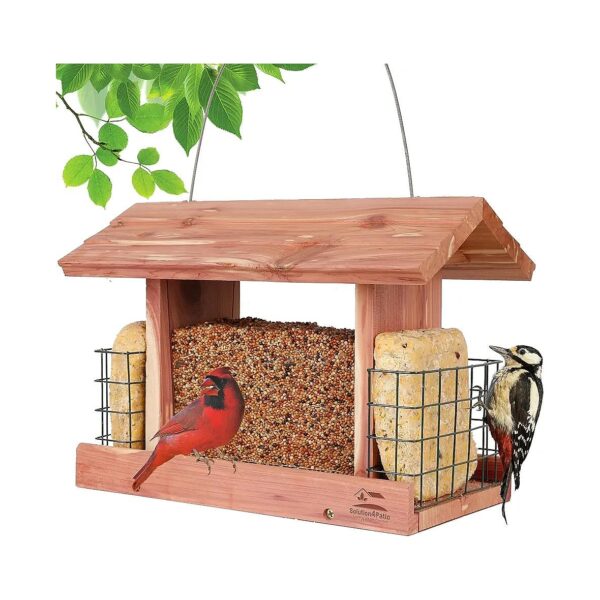 Nature-Inspired Cedar Wood Bird Feeder for Easy Maintenance and Wide Applications