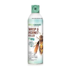 No Chemical Insecticide Spray for Wasp and Hornet Elimination 9oz