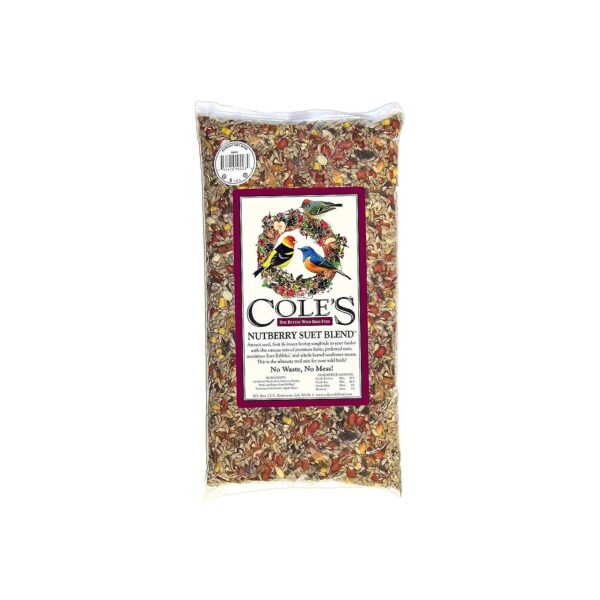 Nutrient-Rich Apple-Flavored Bird Seed with Fruits and Insect Suet for Diverse Bird Life