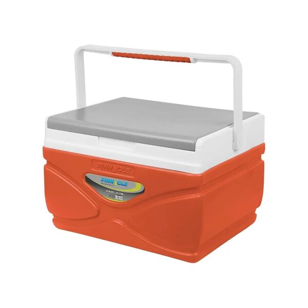 Orange Picnic Cooler with Premium Insulation for Efficient Cooling and Storage