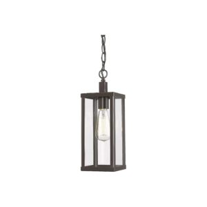 Outdoor 1-Light Pendant Ceiling Light with Metal Construction