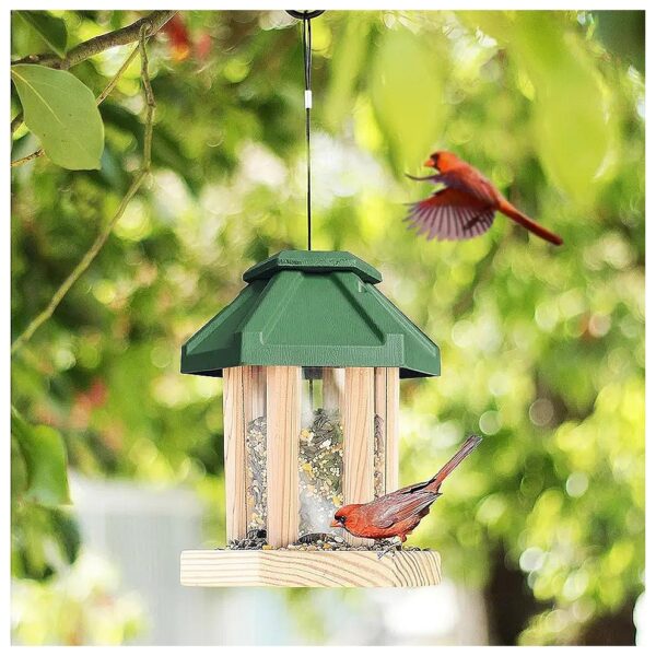 Outdoor Gazebo Bird Feeder for Adults Teens with Durable Cedar Wood Design