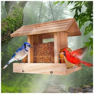 Outdoor Hanging Bird Feeder with 3 Compartments for Multiple Bird Food Options