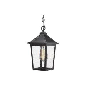 Outdoor Pendant Light with Seeded Glass Shade, Adjustable Height, and E26 Bulb