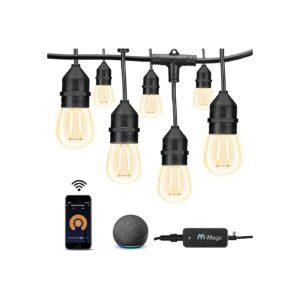 Outdoor Smart String Lights with WiFi Control and Alexa Compatibility, Warm White Finish