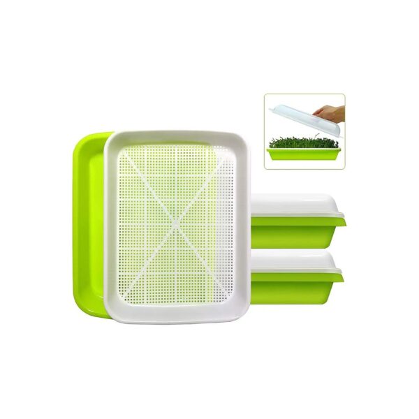 Pack BPA Free Seed Sprouter Tray for Wheatgrass and Sprout Growing with Lid