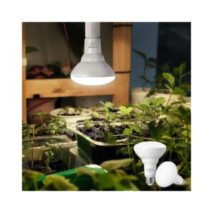 Pack Natural Spectrum LED Grow Light Bulb for Indoor Plants 11W E26 Base