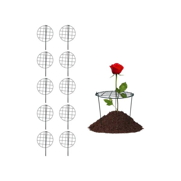 Pack of 10 Plant Supports for Upright Growth of Flowers Vegetables