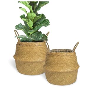 Piece Set of Seagrass Woven Baskets with Liner for Plant Stands and Decor