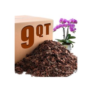 Pine Bark Wood Chips, Aeration and Drainage for Healthy Orchid Roots