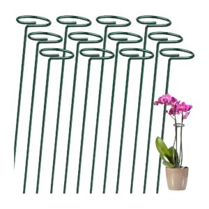 Plant Support Stakes Set for Various Small Plants with Sturdy 4mm Thick Ring Hoops