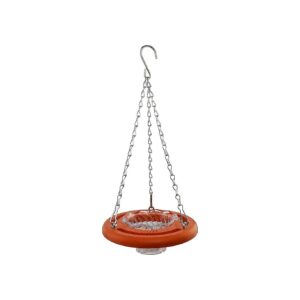 Poly Baltimore Oriole Fruit Jelly Hanging Bird Feeder