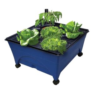 Portable Hydroponics System with 24x20 Footprint and Fast Growth Nutrients