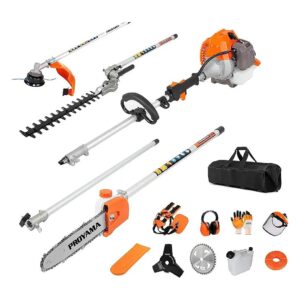 Powerful 2HP Gas Powered String Trimmer with Extension Pole and Cutting Length