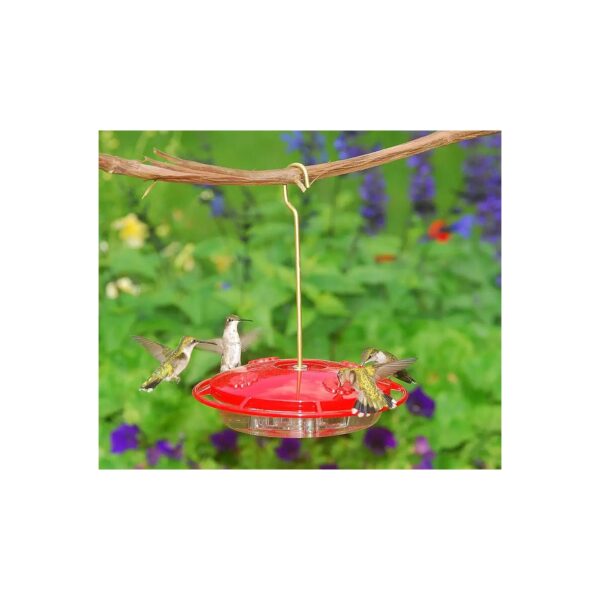 Premium Large Hummingbird Feeder with 4 Feeding Ports and Drip-Proof