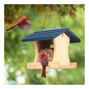 Premium Wood DIY Bird Feeder Kit for Kids with Cedar Construction and Longtime Durability