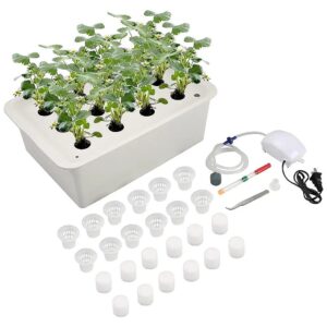 Quality Hydroponic Grow Box Planter for Herbs, Lettuce, and Vegetables